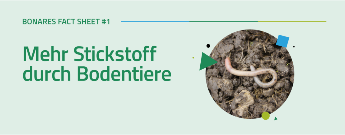 factsheet1 banner